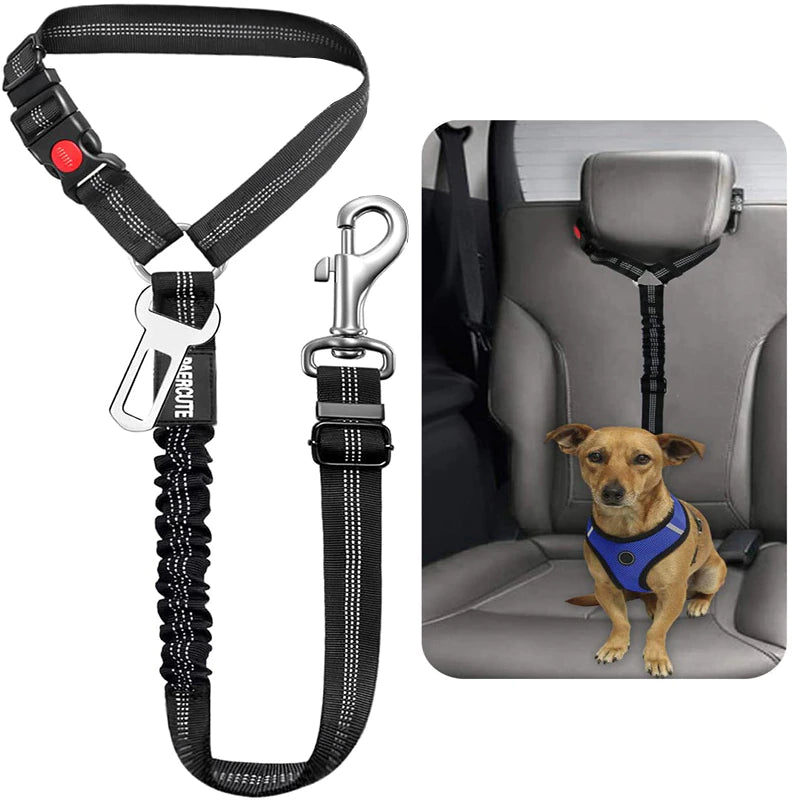 Dog seat belt clip - .de